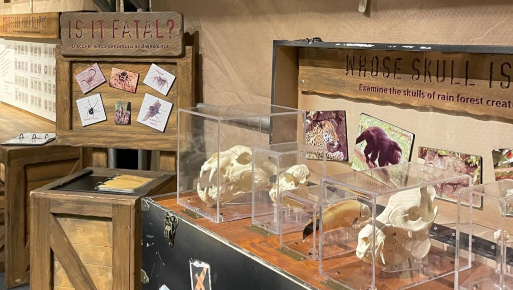 Family Fun Exhibits to Visit in SE Michigan 2026