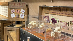 Family Fun Exhibits to Visit in SE Michigan 2026