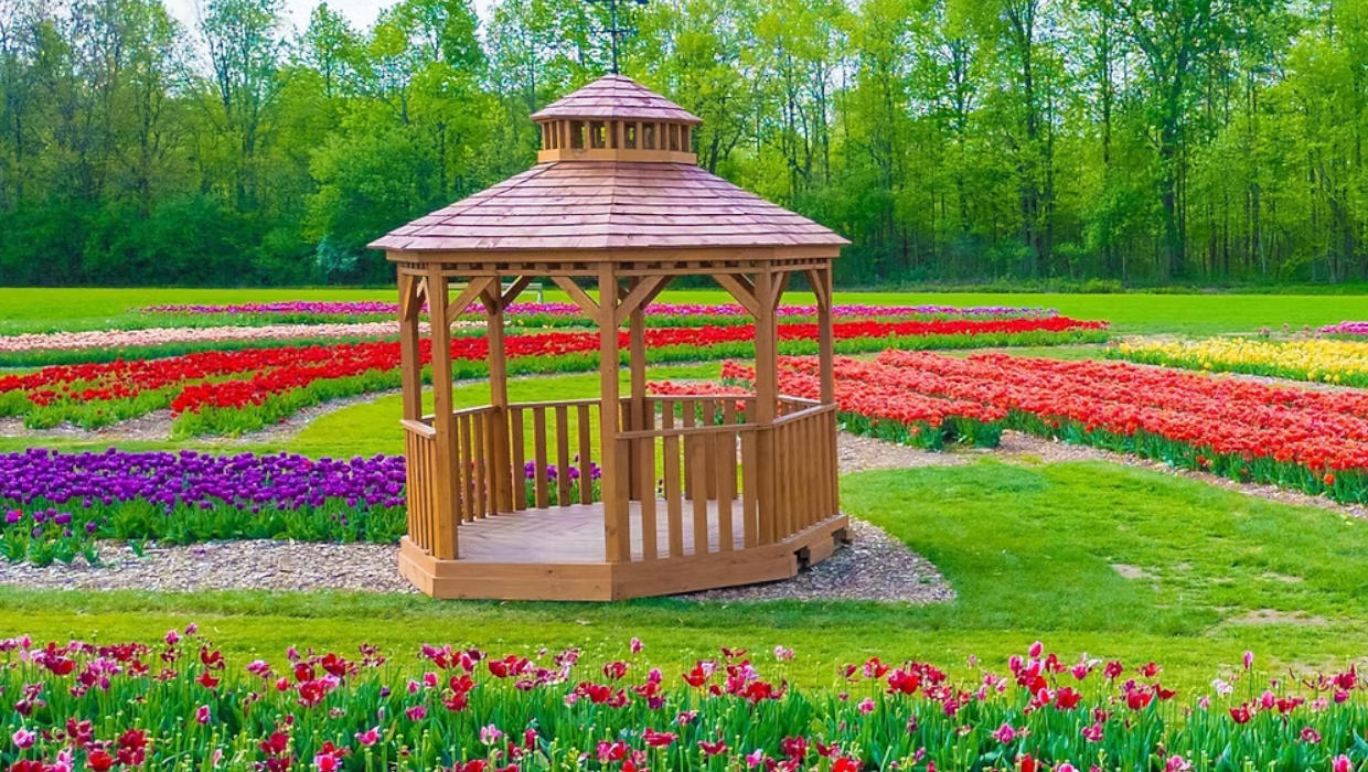 DeBuck's Family Farm Events 2026 / DeBuck's Farm Tulip Festival / DeBuck's Lavender Festival