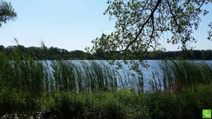 Spencer Park Bass Tournament / Spencer Park Rochester Hills Bass Tournament 2025