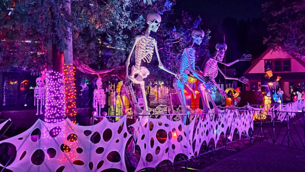 Weekend Events October 9, 10, 11, & 12, 2025, Things to Do This Weekend in Metro Detroit
