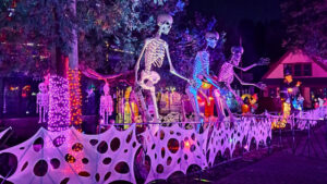 Weekend Events October 9, 10, 11, & 12, 2025, Things to Do This Weekend in Metro Detroit
