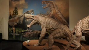 Permian Monsters: Life Before Dinosaurs Exhibit Cranbrook Institute of Science