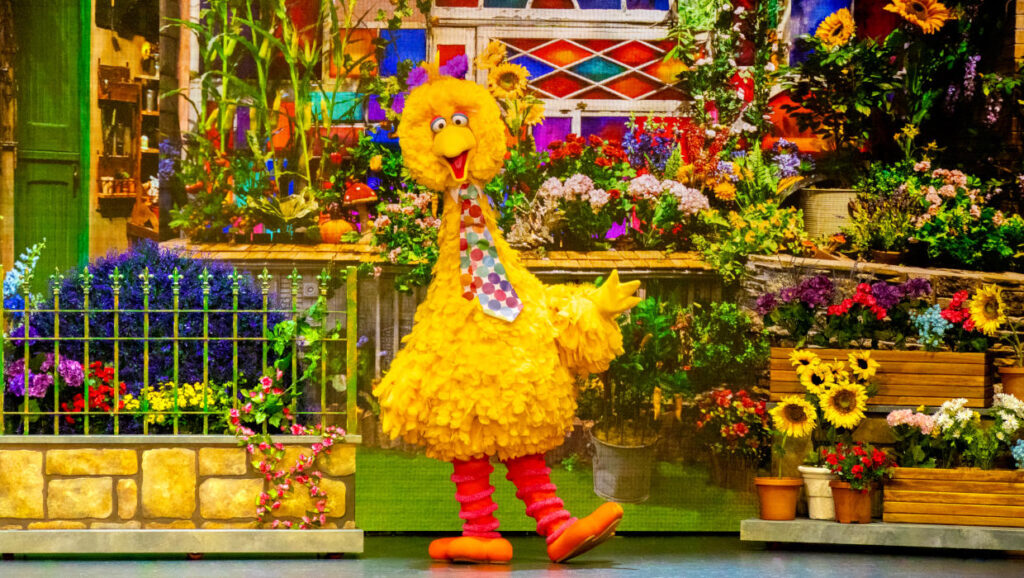 Weekend Events November 6, 7, 8, & 9, 2025, Things to Do This Weekend in Metro Detroit