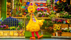 Weekend Events November 6, 7, 8, & 9, 2025, Things to Do This Weekend in Metro Detroit