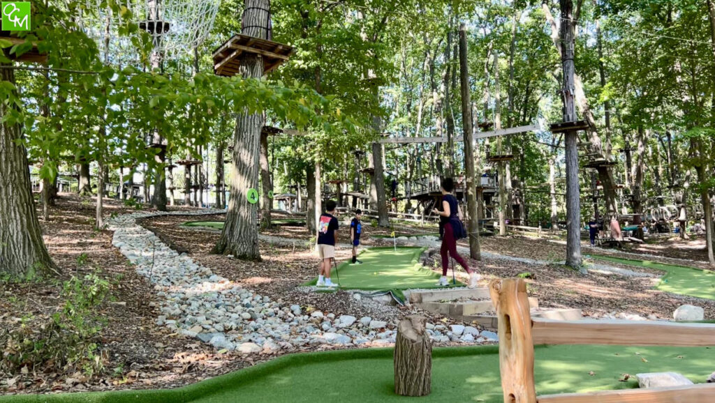TreeRunner West Bloomfield Mini Golf
