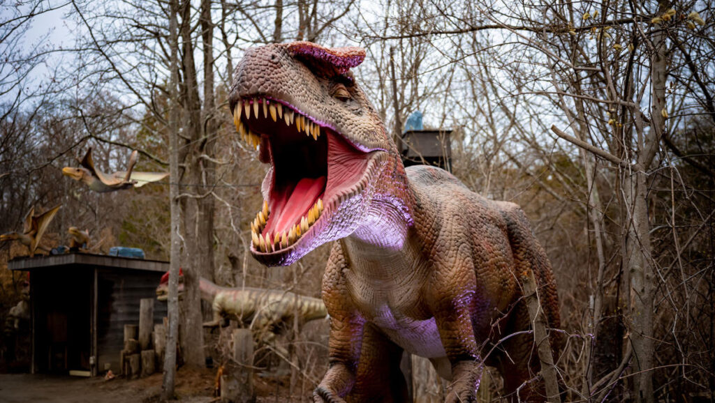 Dinosaur Forest Clarkston Review Pics Info