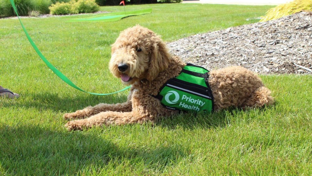 Strengthening Children’s Mental Health: Tools for Parents and Caregivers