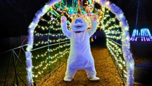 Weekend Events December 11, 12, 13, 14, 2025, Things to Do This Weekend in Metro Detroit