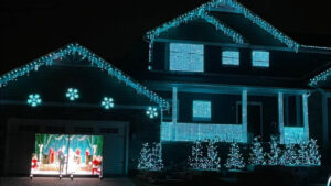 Lights On Lake Orion 2025 / Lights on the Lake Christmas Lights