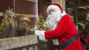 Maybury Farm Events Calendar / Maybury Farm Northville Review & Pics