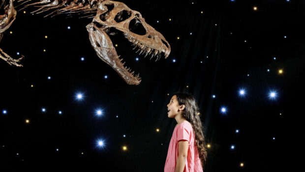 Ice Dinosaurs Sloan Museum Exhibit / Sloan Museum Dinosaurs