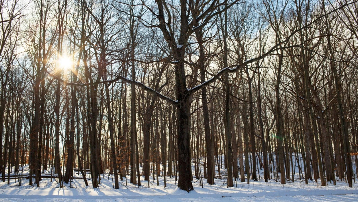 Exploring Nature with Your Kids at the Metroparks