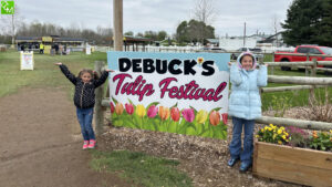 DeBuck's Tulip Festival / Michigan Tulip Festival / DeBuck's Farm Tulip Fest