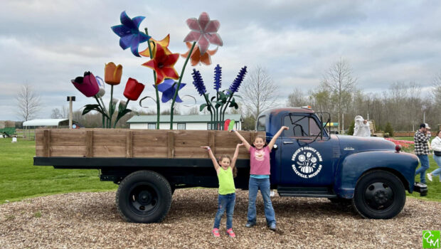 DeBuck's Tulip Festival 2026 | Oakland County Moms