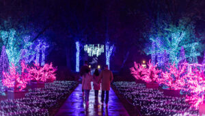 Winter Wonder Lights Discount Admission Coupon Code 2026 / Winter Wonder Lights Coupon Meadow Brook Hall 2026