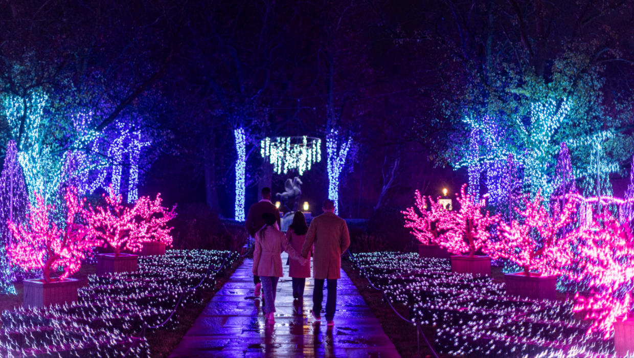 Winter Wonder Lights Discount Admission Coupon Code 2026 / Winter Wonder Lights Coupon Meadow Brook Hall 2026