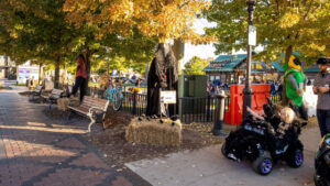 Farmington Grand Raven Festival 2026